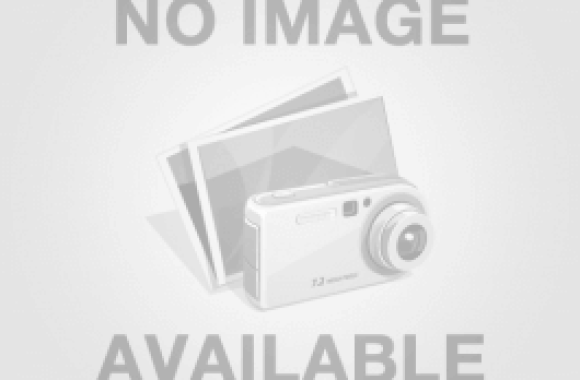 Tai Xe (Má Dè) Toyota – Bảo Vệ Hoàn Hảo Cho Dòng Xe Yêu Thích Của Bạn